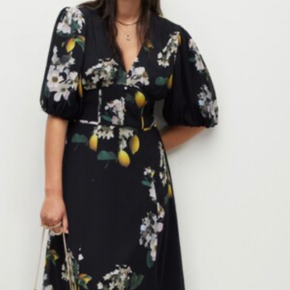 All Saints Aspen Eugenia Dress Size US8